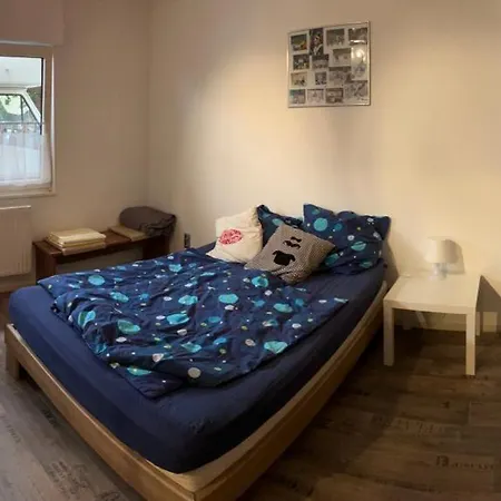 Gemuetlicher Semesterbostad *